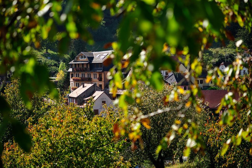 Le Clos Des Sources Hotel & Spa 탄넨키르쉬 외부 사진